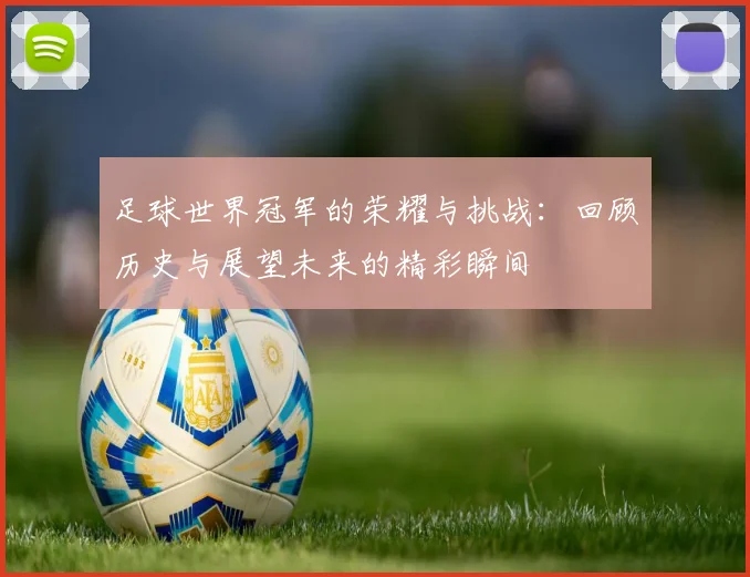 足球世界冠军的荣耀与挑战：回顾历史与展望未来的精彩瞬间