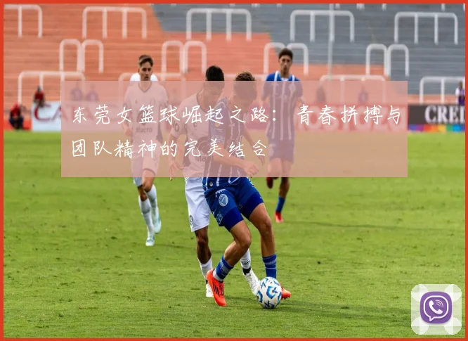 东莞女篮球崛起之路：青春拼搏与团队精神的完美结合