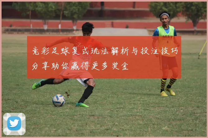 竞彩足球复式玩法解析与投注技巧分享助你赢得更多奖金