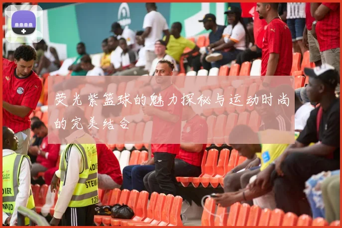 荧光紫篮球的魅力探秘与运动时尚的完美结合