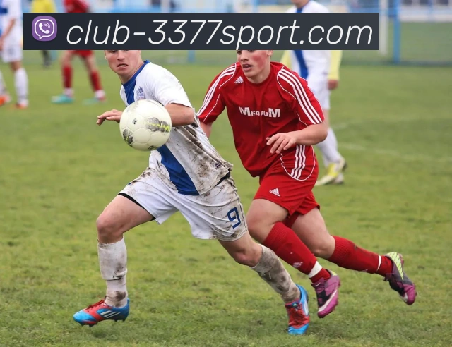 3377SPORTS发展历程